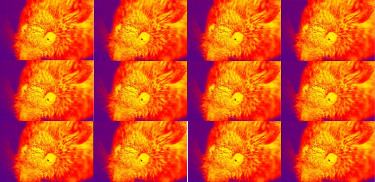 122 homepage banner5